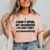 Funny Grandma T-Shirt, I Don't Spoil My Grandkids, Im Just Very Accommodating, Grandmother Shirt, Nana Tee, Gifts for Grandma, Grandma Tee